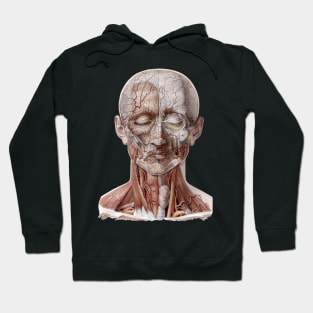 Vintage Human Anatomy Science, Head Throat Nose Hoodie